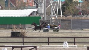 30.04.2022г.Абакан Приз Мемориал Маршала Г.К. Жукова для лошадей рысистых пород  1600 м