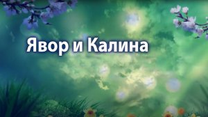 Явор и Калина