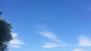 Самая красивая река Обь. Путешествия по Новосибирской области.