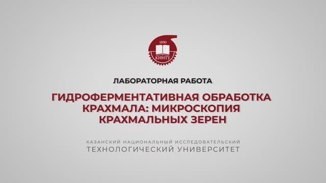 Балымова Е.С.  Лабораторная работа 2