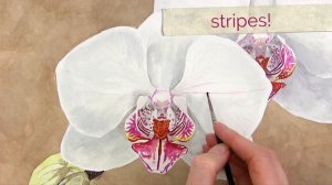 How to paint a realistic stripy patterned orchid in watercolor