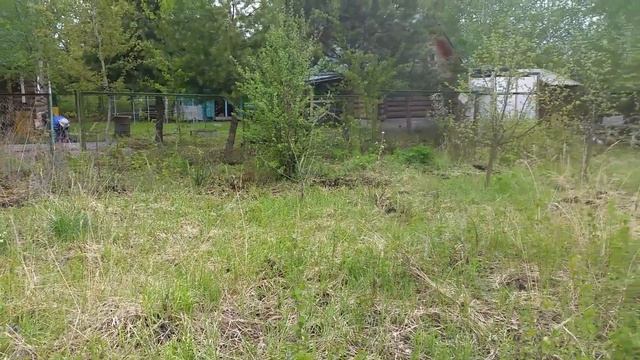 Участок 36 СНТ Росинка