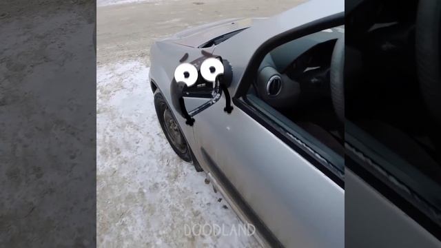 JELLY MIX CHALLENGE || TikTok Tricks, Funny Challenges By Clumsy Doodles - #Doodland 1004 смотреть онлайн