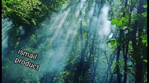 MR & AT – Грустная музыка