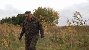 Где искать фазана .