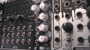 Modular Wild Presents Profile-Synthrotek DS M Drum Module