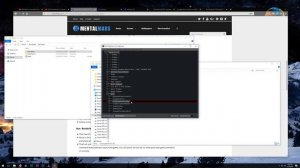 Borderlands 2: Community Patch Install Guide and Tutorial + adding custom mods
