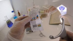 Томат Сибирское чудо. Аэлита