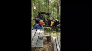 лорик на болоте 3