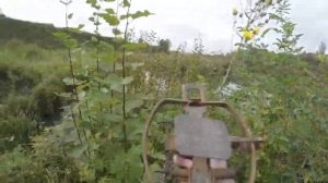 Охота на бобра, установка капканов. Приманка для бобра Beaver Creek. Опыт Сергея!