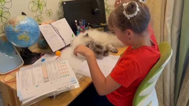 Школьная бригада