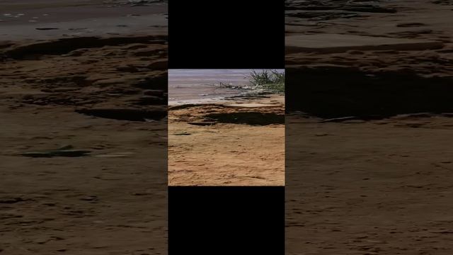 Ляховское озеро. Домодедово. 7.08.2023.Температура воды 22°.