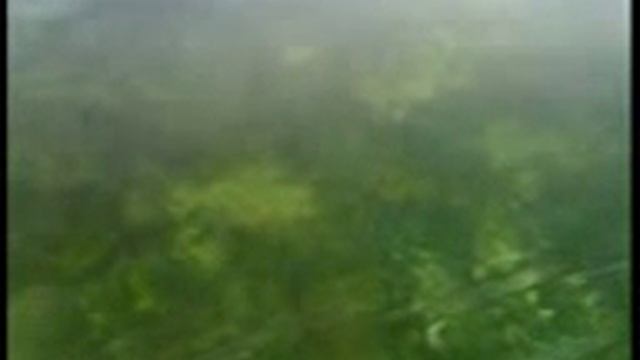 Озеро Байкал - Всемирное наследие - YouTube.3gp смотреть онлайн