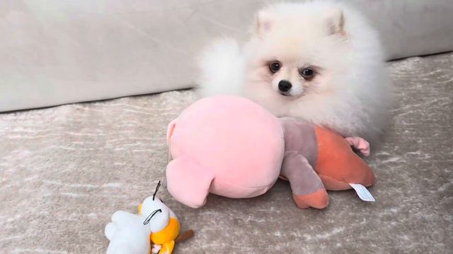 Бабий век! Почему отказалась от предложения о работе. смотреть онлайн