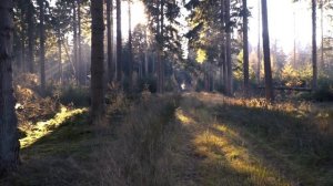 Медитация на Исцеление Внутреннего Ребенка