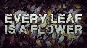 "Every Leaf is a Flower" by M.J. Pack | Danny's Story Part 3 | Horror audio fiction