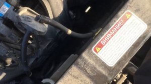 Rio 4 доливаем антифриз легко