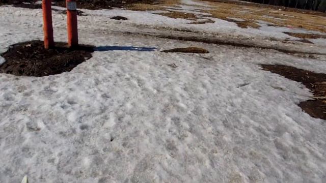 Ладушка - лапушка в добрые руки смотреть онлайн