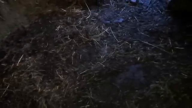 Ездили в город, Купили кое что по мелочам.. Дела житейские, Жизнь в селе смотреть онлайн