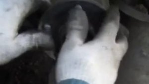 Ступица переднего колеса Concord HB1-0038 на Volga Siber - опыт эксплуатации