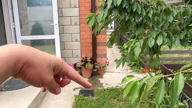 про забор и ошибку строительства ПРИСТРОЙКИ и водосточки // боятся ЛИ МИТЯ и МАСЯ ГРОЗЫ