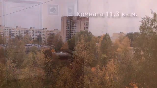 Купить квартиру в Колпино | Уютная квартира на ул Пролетарской  | Риэлтор Колпино