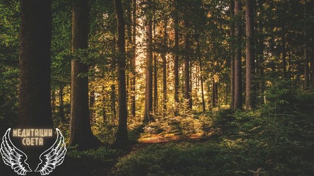 Медитация на исцеление души