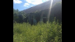 Поселок Павловка, Спасский район, Рязанская область / Июнь 2019
