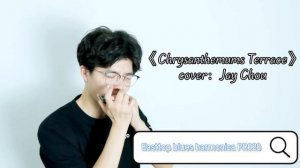 Easttop PR020 blues harmonica song name"Chrysanthemums Terrace" played by Clock