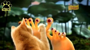 Friskies от Purina (Реклама)