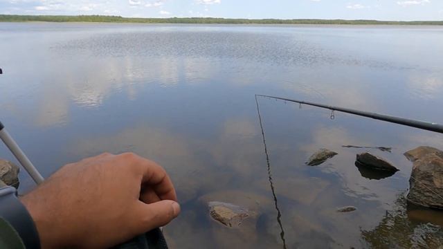 ОБОРВАЛ ОСНАСТКИ, НО ПОЙМАЛ.? ?матчевая ловля. ?ловля на ваглер. матчевое удилище. 4.5 метра.