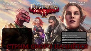 Divinity: Original Sin