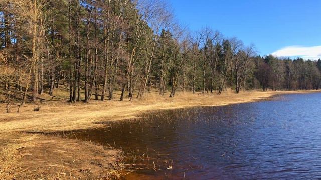 National Park Национальный парк