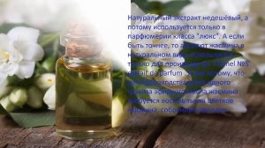 Ароматный Жасмин - цветок с целебными свойствами...