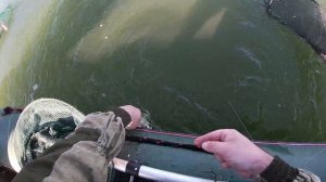 Осенний лещ на Дону