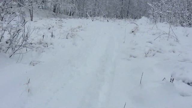Мотобуксировщик Новосибирск смотреть онлайн