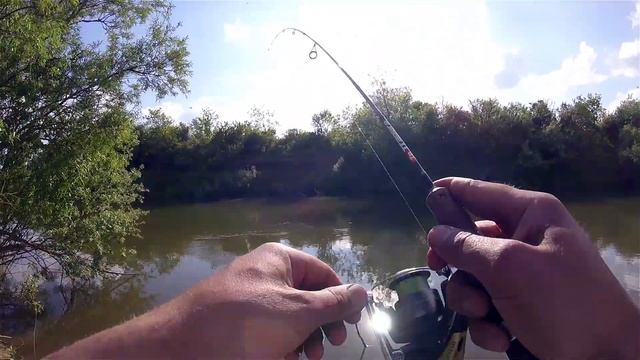 Ловля огромных уклеек на попло попер наживка бабочка смотреть онлайн