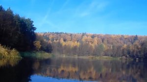 осень: серёжа нижегородская