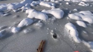 ПЕРВЫЙ ЛЁД 23-24!!! ЛОВЛЯ НАЛИМА НА УДЫ В ЭВЕНКИИ