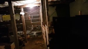 Коровник за 145000р