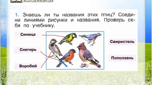 зимующие птицы 1 класс окружающий мир плешаков. перелетные птицы 1 класс окружающий мир школа россии. окружающий мир где зимуют птицы. окружающий мир 1 класс где зимуют птицы учебник. где зимуют птицы 1 класс окружающий мир задания.