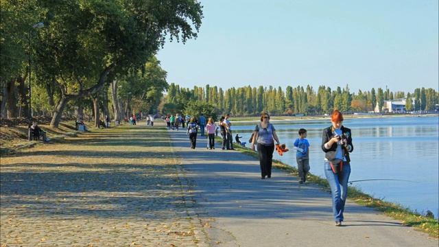 Пособие 47 руб 50 коп для многодетной семьи от властей Таганрога смотреть онлайн