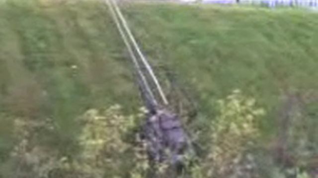 Дрессированная сенокосилка.