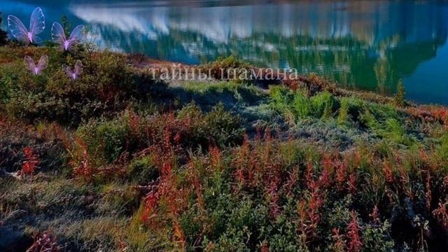 Сильный заговор на похудение смотреть онлайн