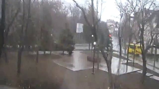 Вырубка деревьев с сквере