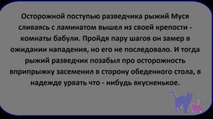 Нарциссовы байки #2. Это кто - там у бабушки живёт.