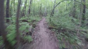 Битца Репка трейл