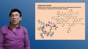 Эндокринная система | Поджелудочная железа | Щитовидная железа | Паращитовидные железы