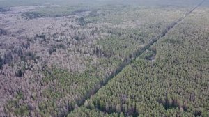 о.Круглое г.Фокино