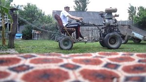 Мотоблок вырвал дереву